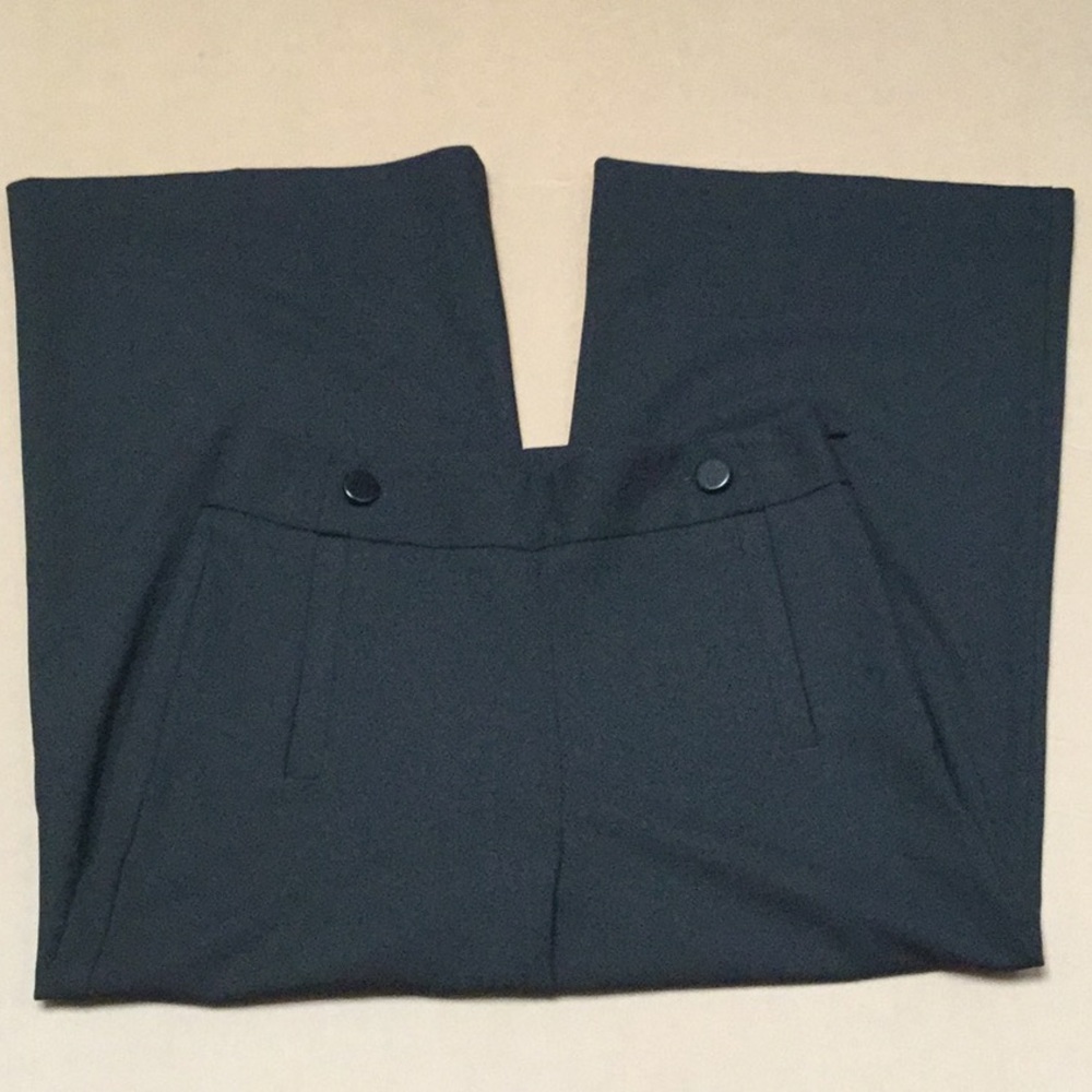 NWT $69 Ann Taylor Gaucho For$10 sz4